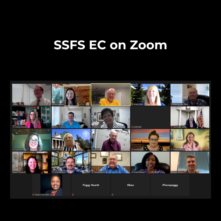 Executive Council Meeting on Zoom