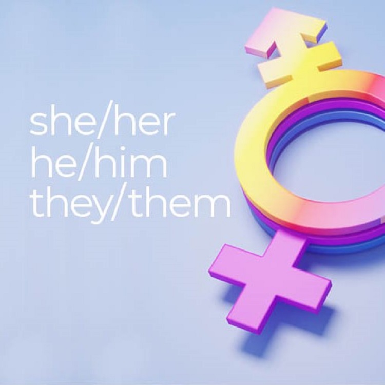 Image of a gender graphic and text